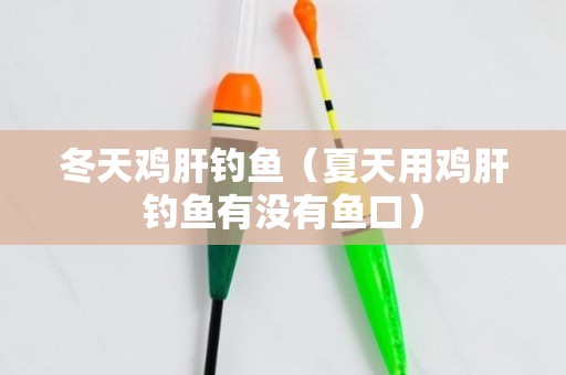 冬天鸡肝钓鱼（夏天用鸡肝钓鱼有没有鱼口）