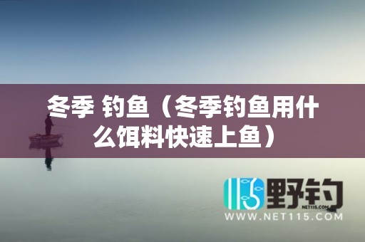 冬季 钓鱼（冬季钓鱼用什么饵料快速上鱼）