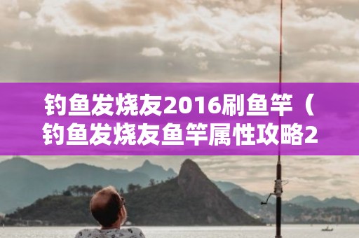 钓鱼发烧友2016刷鱼竿（钓鱼发烧友鱼竿属性攻略2019）