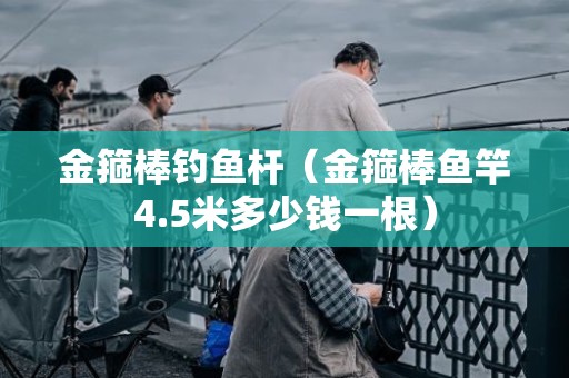 金箍棒钓鱼杆（金箍棒鱼竿4.5米多少钱一根）