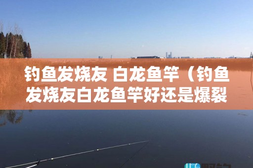 钓鱼发烧友 白龙鱼竿（钓鱼发烧友白龙鱼竿好还是爆裂鱼竿好）