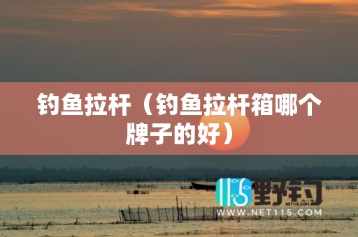 钓鱼拉杆（钓鱼拉杆箱哪个牌子的好）