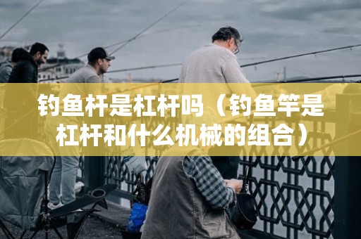 钓鱼杆是杠杆吗（钓鱼竿是杠杆和什么机械的组合）
