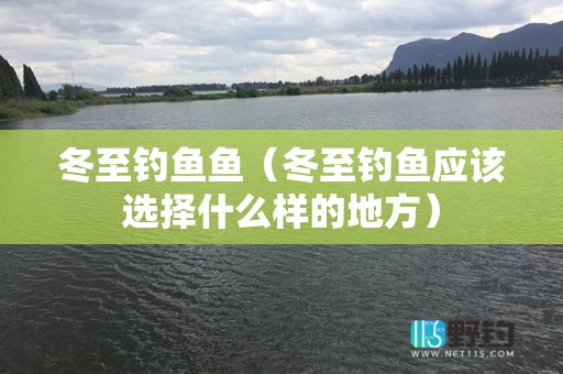 冬至钓鱼鱼（冬至钓鱼应该选择什么样的地方）