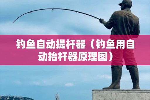钓鱼自动提杆器（钓鱼用自动抬杆器原理图）