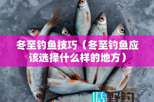 冬至钓鱼技巧（冬至钓鱼应该选择什么样的地方）