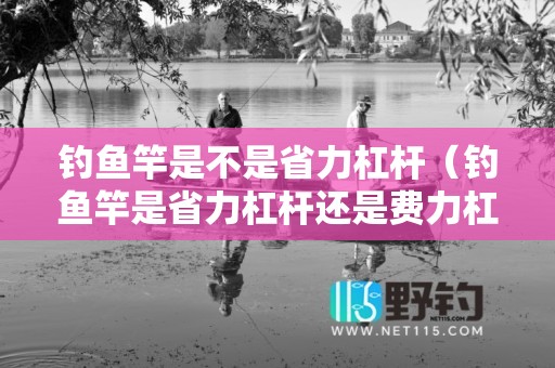 钓鱼竿是不是省力杠杆（钓鱼竿是省力杠杆还是费力杠杆呢-为什么-）