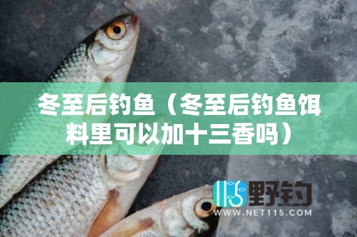 冬至后钓鱼（冬至后钓鱼饵料里可以加十三香吗）