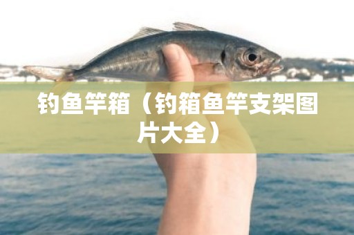 钓鱼竿箱（钓箱鱼竿支架图片大全）