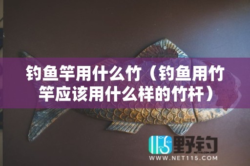 钓鱼竿用什么竹（钓鱼用竹竿应该用什么样的竹杆）
