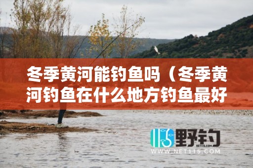 冬季黄河能钓鱼吗（冬季黄河钓鱼在什么地方钓鱼最好呢）