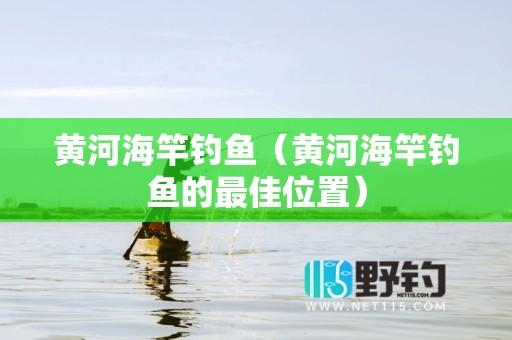 黄河海竿钓鱼（黄河海竿钓鱼的最佳位置）