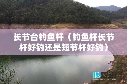 长节台钓鱼杆（钓鱼杆长节杆好钓还是短节杆好钓）