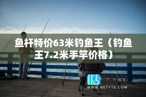 鱼杆特价63米钓鱼王（钓鱼王7.2米手竿价格）