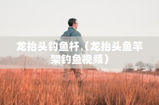 龙抬头钓鱼杆（龙抬头鱼竿架钓鱼视频）