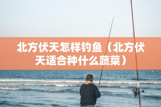 北方伏天怎样钓鱼（北方伏天适合种什么蔬菜）