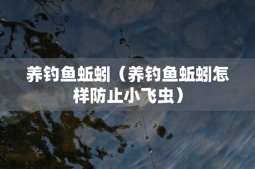 养钓鱼蚯蚓（养钓鱼蚯蚓怎样防止小飞虫）