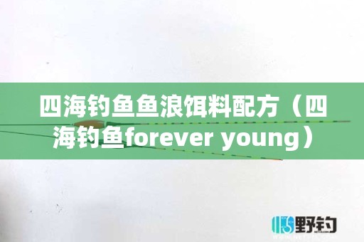 四海钓鱼鱼浪饵料配方（四海钓鱼forever young）
