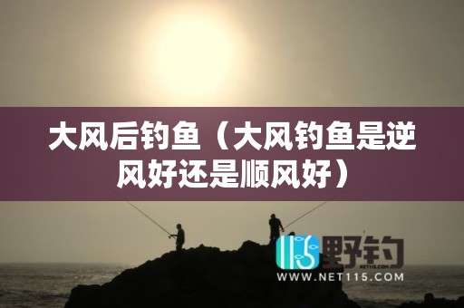 大风后钓鱼（大风钓鱼是逆风好还是顺风好）