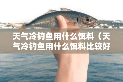 天气冷钓鱼用什么饵料（天气冷钓鱼用什么饵料比较好）