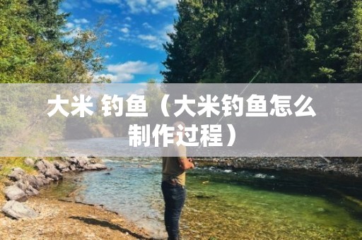 大米 钓鱼（大米钓鱼怎么制作过程）