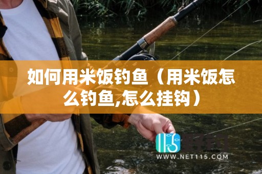 如何用米饭钓鱼（用米饭怎么钓鱼,怎么挂钩）