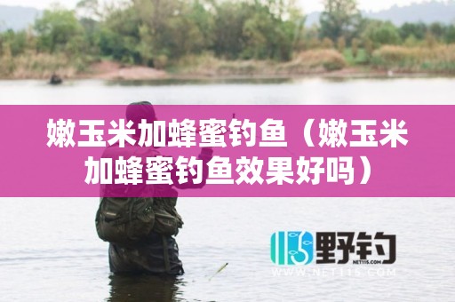 嫩玉米加蜂蜜钓鱼（嫩玉米加蜂蜜钓鱼效果好吗）