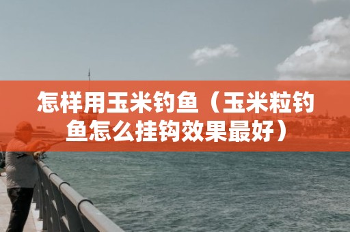 怎样用玉米钓鱼（玉米粒钓鱼怎么挂钩效果最好）