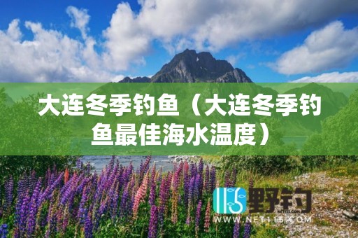 大连冬季钓鱼（大连冬季钓鱼最佳海水温度）