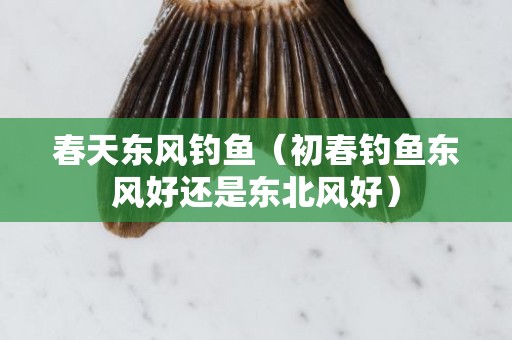 春天东风钓鱼（初春钓鱼东风好还是东北风好）