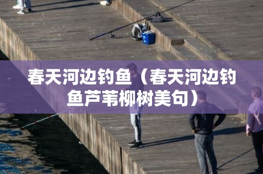 春天河边钓鱼（春天河边钓鱼芦苇柳树美句）