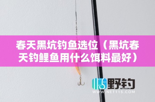 春天黑坑钓鱼选位（黑坑春天钓鲤鱼用什么饵料最好）