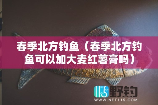 春季北方钓鱼（春季北方钓鱼可以加大麦红薯膏吗）