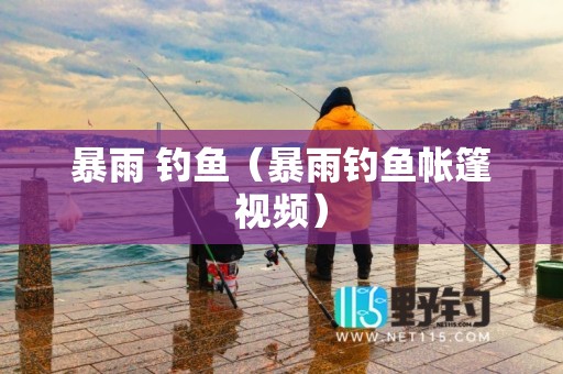 暴雨 钓鱼（暴雨钓鱼帐篷视频）