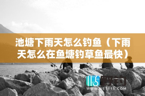 池塘下雨天怎么钓鱼（下雨天怎么在鱼塘钓草鱼最快）