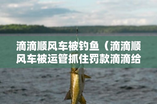 滴滴顺风车被钓鱼（滴滴顺风车被运管抓住罚款滴滴给报销吗）
