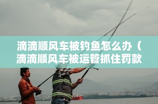 滴滴顺风车被钓鱼怎么办（滴滴顺风车被运管抓住罚款滴滴给报销吗）
