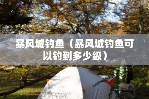 暴风城钓鱼（暴风城钓鱼可以钓到多少级）