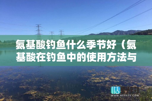 氨基酸钓鱼什么季节好（氨基酸在钓鱼中的使用方法与说明）