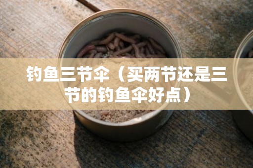 钓鱼三节伞（买两节还是三节的钓鱼伞好点）