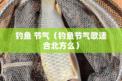 钓鱼 节气（钓鱼节气歌适合北方么）