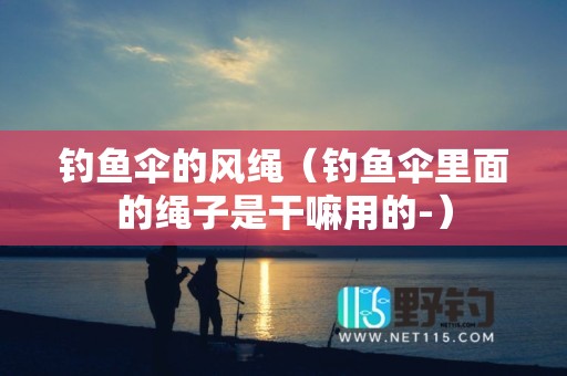 钓鱼伞的风绳（钓鱼伞里面的绳子是干嘛用的-）