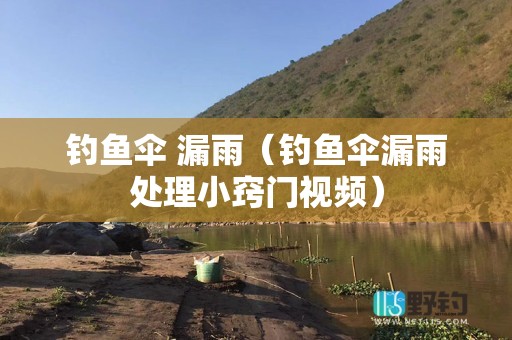 钓鱼伞 漏雨（钓鱼伞漏雨处理小窍门视频）