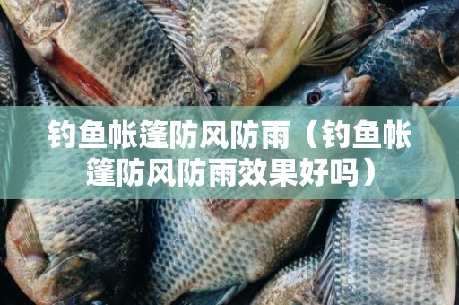 钓鱼帐篷防风防雨（钓鱼帐篷防风防雨效果好吗）
