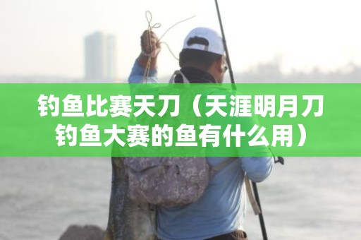 钓鱼比赛天刀（天涯明月刀钓鱼大赛的鱼有什么用）