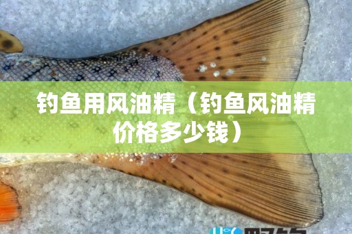 钓鱼用风油精（钓鱼风油精价格多少钱）