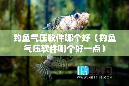 钓鱼气压软件哪个好（钓鱼气压软件哪个好一点）