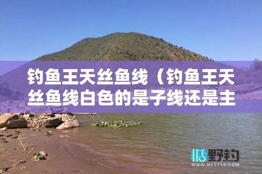 钓鱼王天丝鱼线（钓鱼王天丝鱼线白色的是子线还是主线）