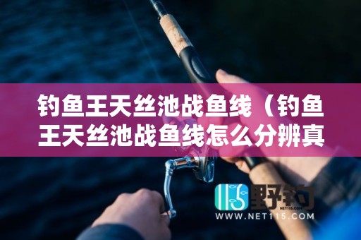 钓鱼王天丝池战鱼线（钓鱼王天丝池战鱼线怎么分辨真假）