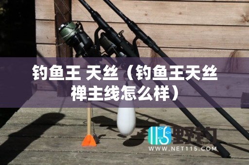 钓鱼王 天丝（钓鱼王天丝禅主线怎么样）